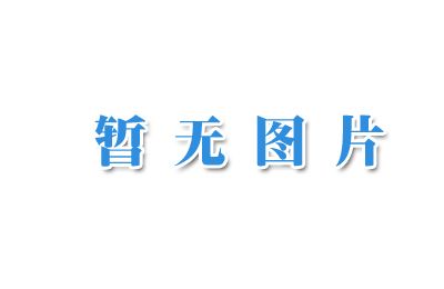 1-环丙基-6-氟-1,4-二氢-8-甲氧基-7-(3-甲氨基哌啶-1-基)-4-氧代-喹啉-3-喹啉羧酸